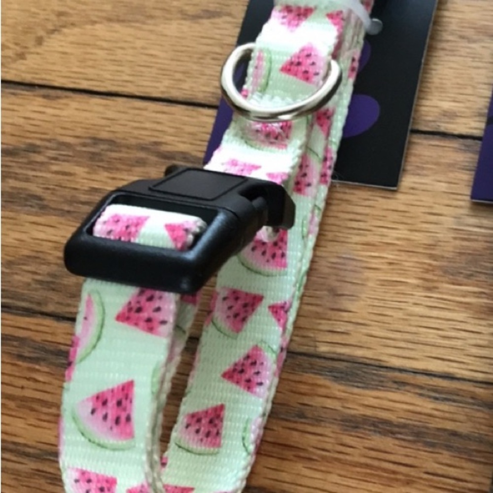dog collar 🍉